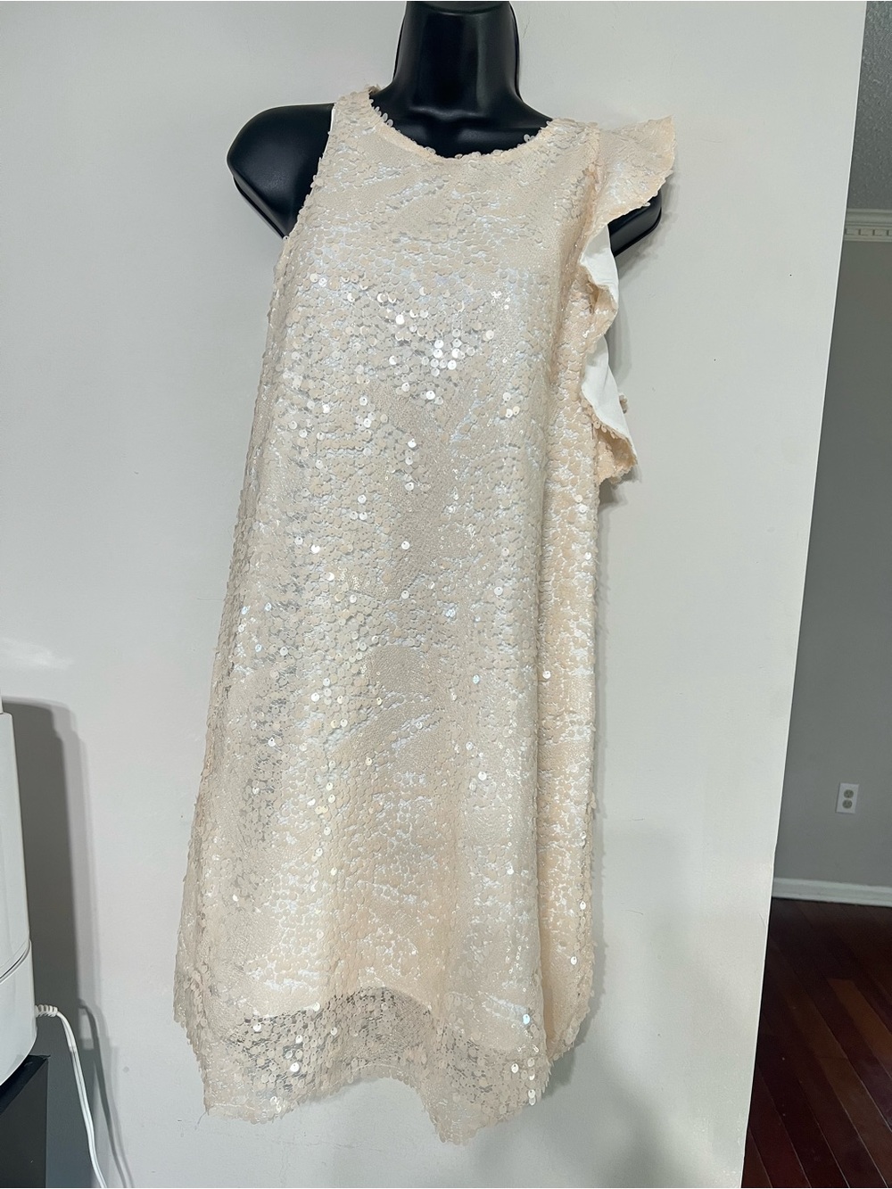 Zara Ivory Sequin Ruffle Dress for women